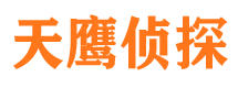 费县市侦探公司